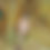 Thumbnail: Miss Cam