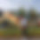 Thumbnail: Miss Cam