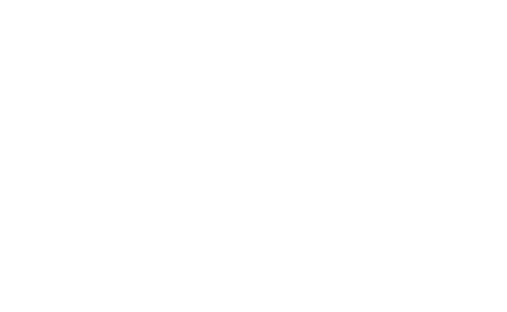 Logo_0604_Starlion_group_calibrated.png