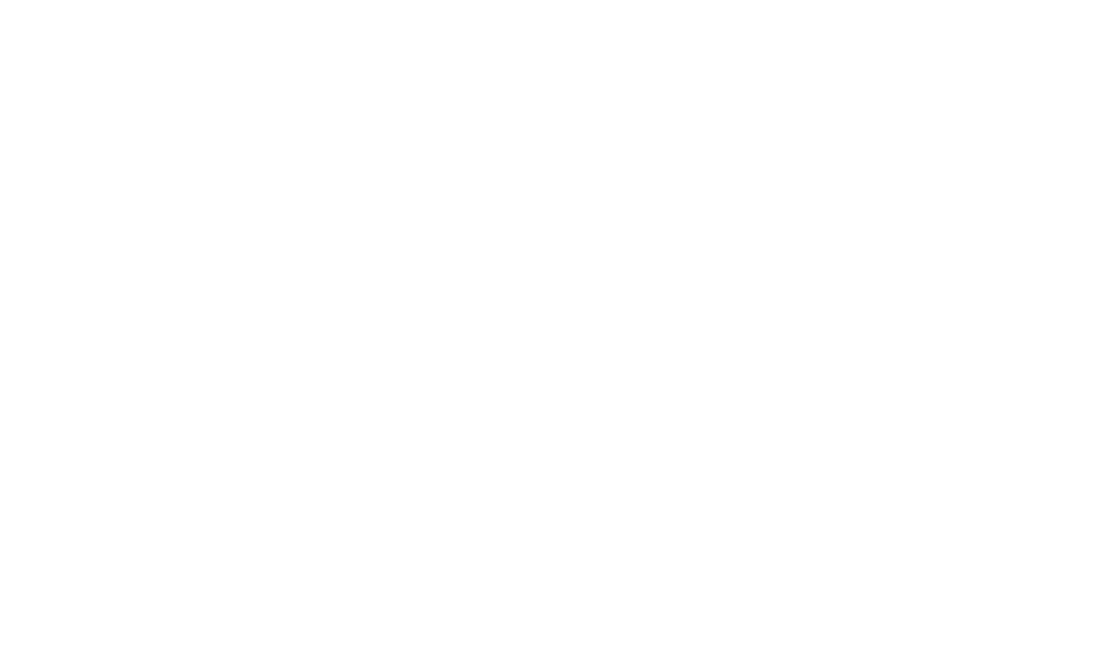 Starlion_Company_logo_0604.png