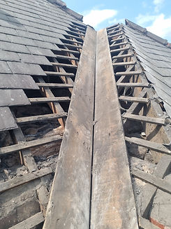 in progress roof pics.jpg