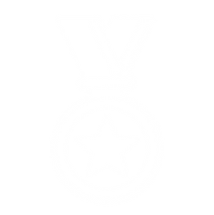 Cópia de LOGO PULSAR (4).png