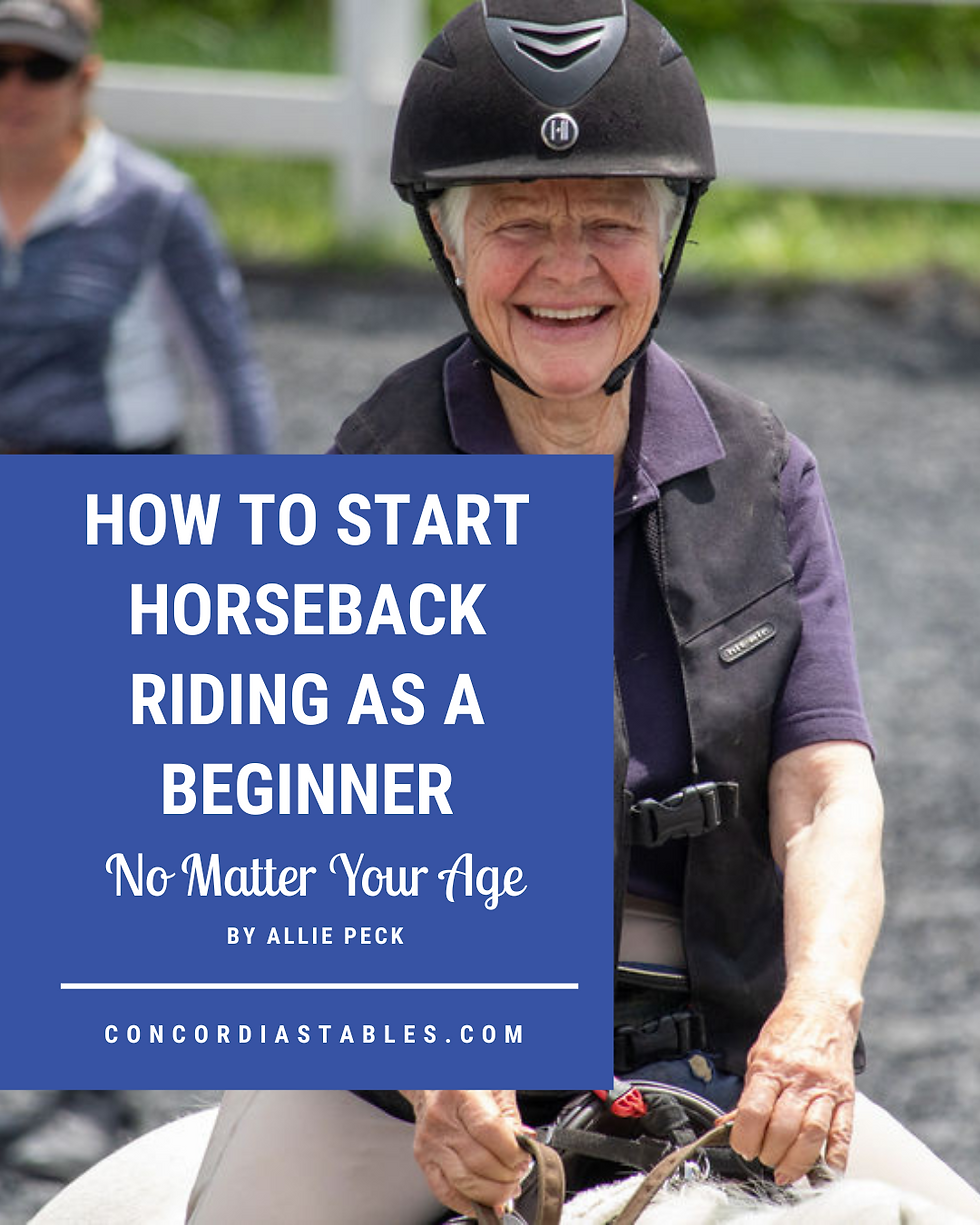 How to Start Horseback Riding as a Beginner