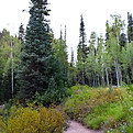 DSC_0104_edited.jpg