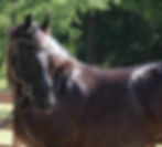 WhatsApp Image 2026-04-17 at 9.48.53 AM (1)