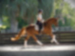 Romeo 12