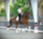Romeo 4