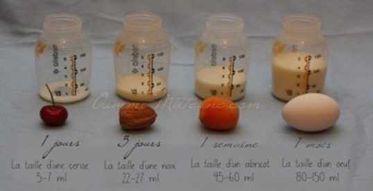 Qu'est ce que la montée de lait