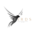 birds prod.png
