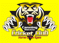 ctonlogo.gif