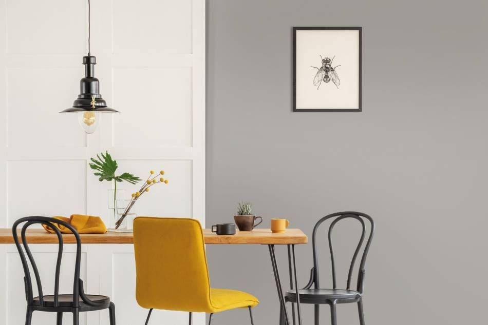 Miniature : K7 - CREAM GREY