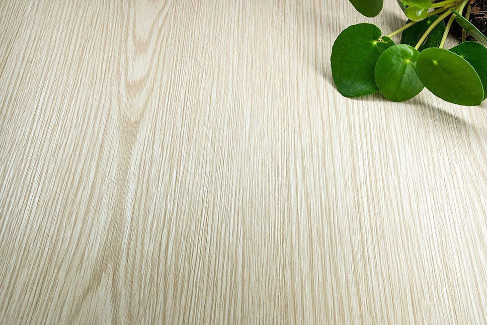 Miniature : AG20 - CREAM PINE