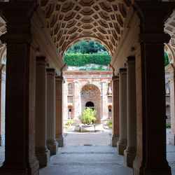 | OVALI IN TERRACOTTA |