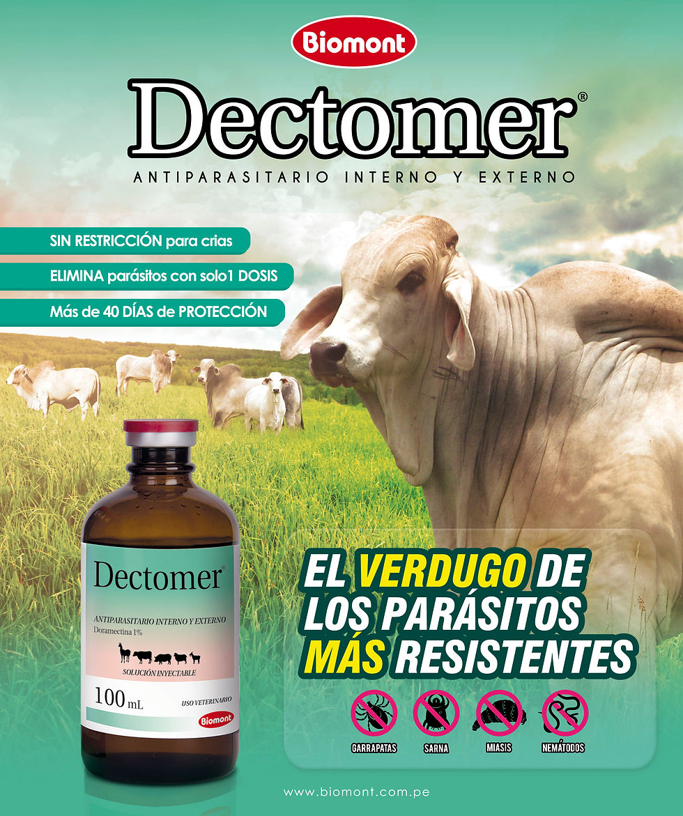 Volante producto - Dectomer