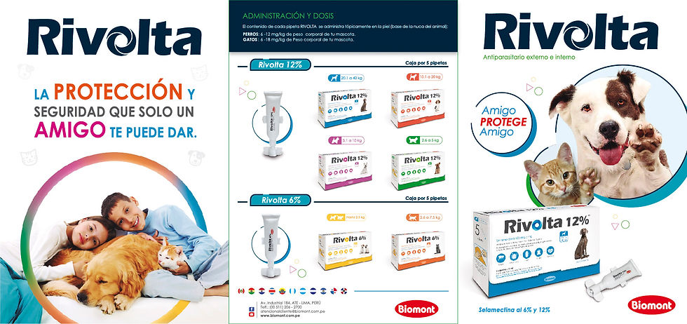 Brochure portada