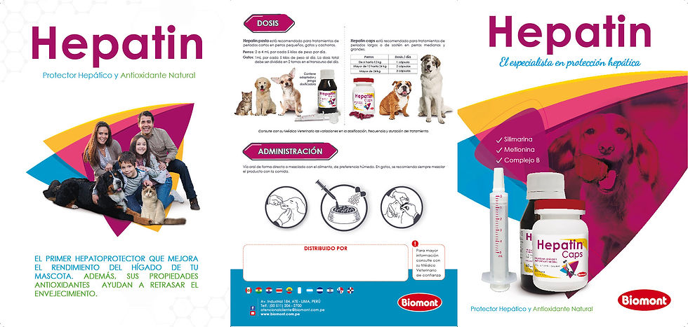 portada brochure Hepatin
