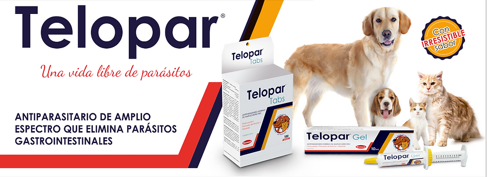 Banner web - Telopar
