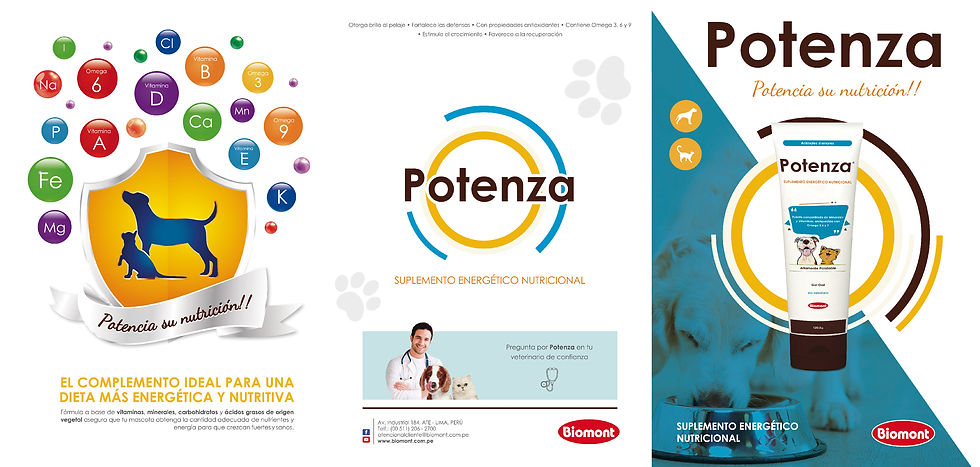 Portada tríptico - Potenza