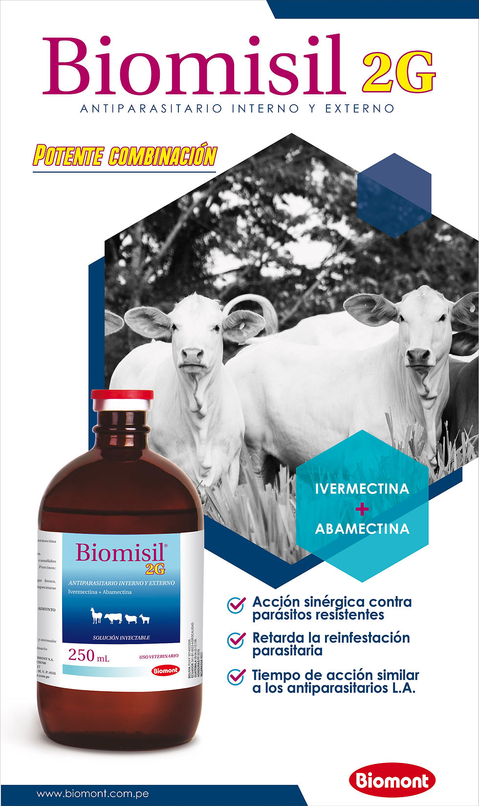 Banner Biomisil 2G-01
