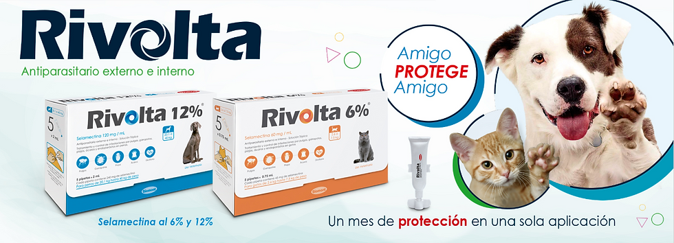 Banner web - Rivolta