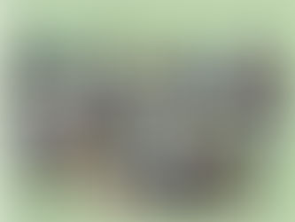 202506-お試し体心調整