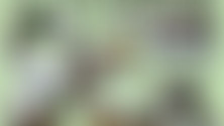 20220630_お試し体心調整