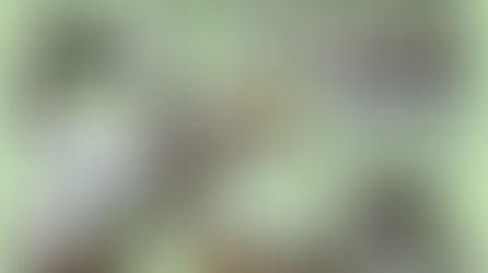 20220630_お試し体心調整