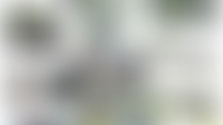 ビーチクリーン幕張の浜-7/24