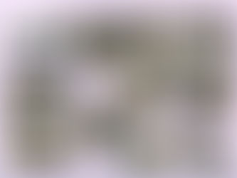 20220315-ワイガヤ会