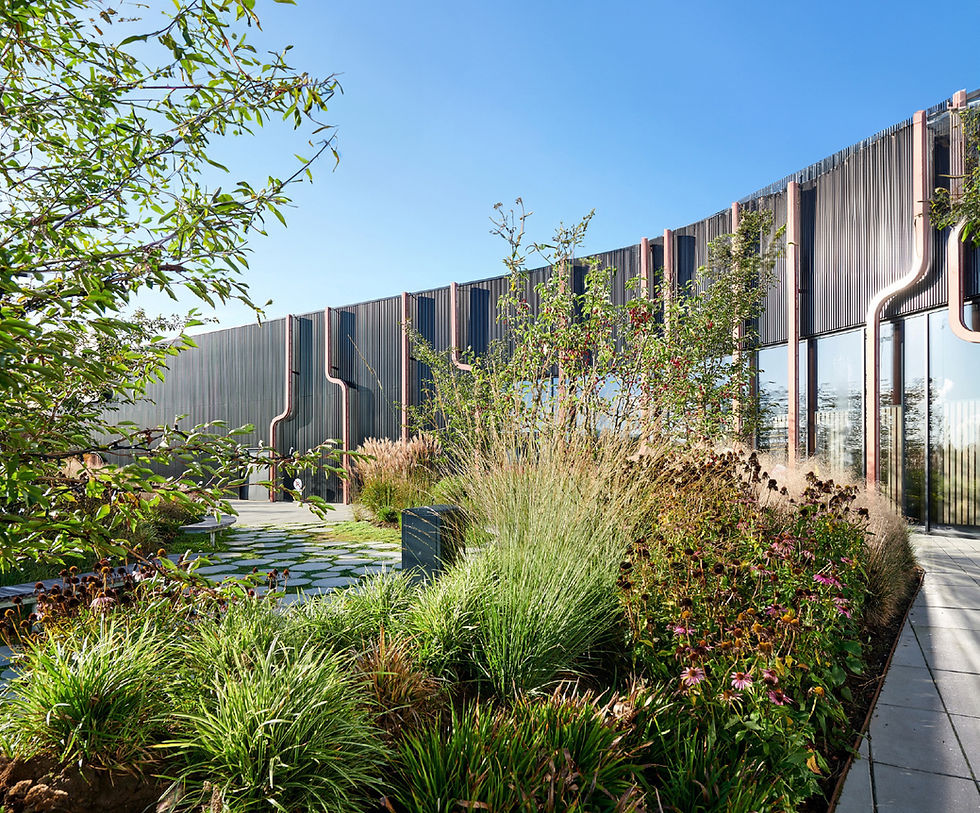 Blick auf einen begrünten Bereich im Außenbereich eines Shopping-Centers.