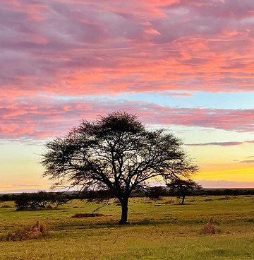 waterberg.jpg