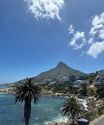 lions head.jpg