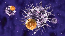 Immunothérapie