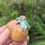 video of a mini pumpkin decor