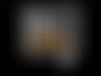 The Lives Behind the Movement