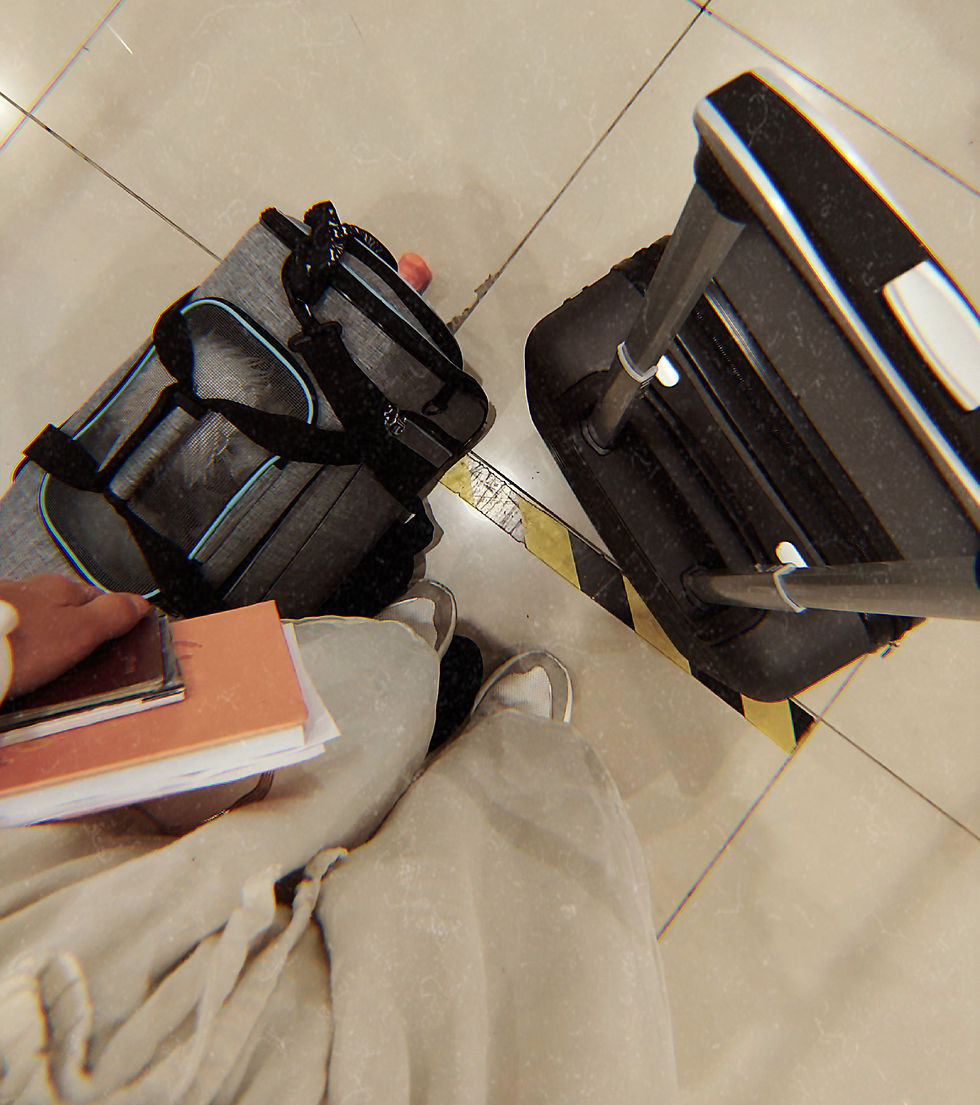 Travel, suitcase, dog kennel