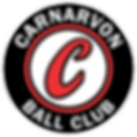 carnarvon-baseball-logo-500_edited.png