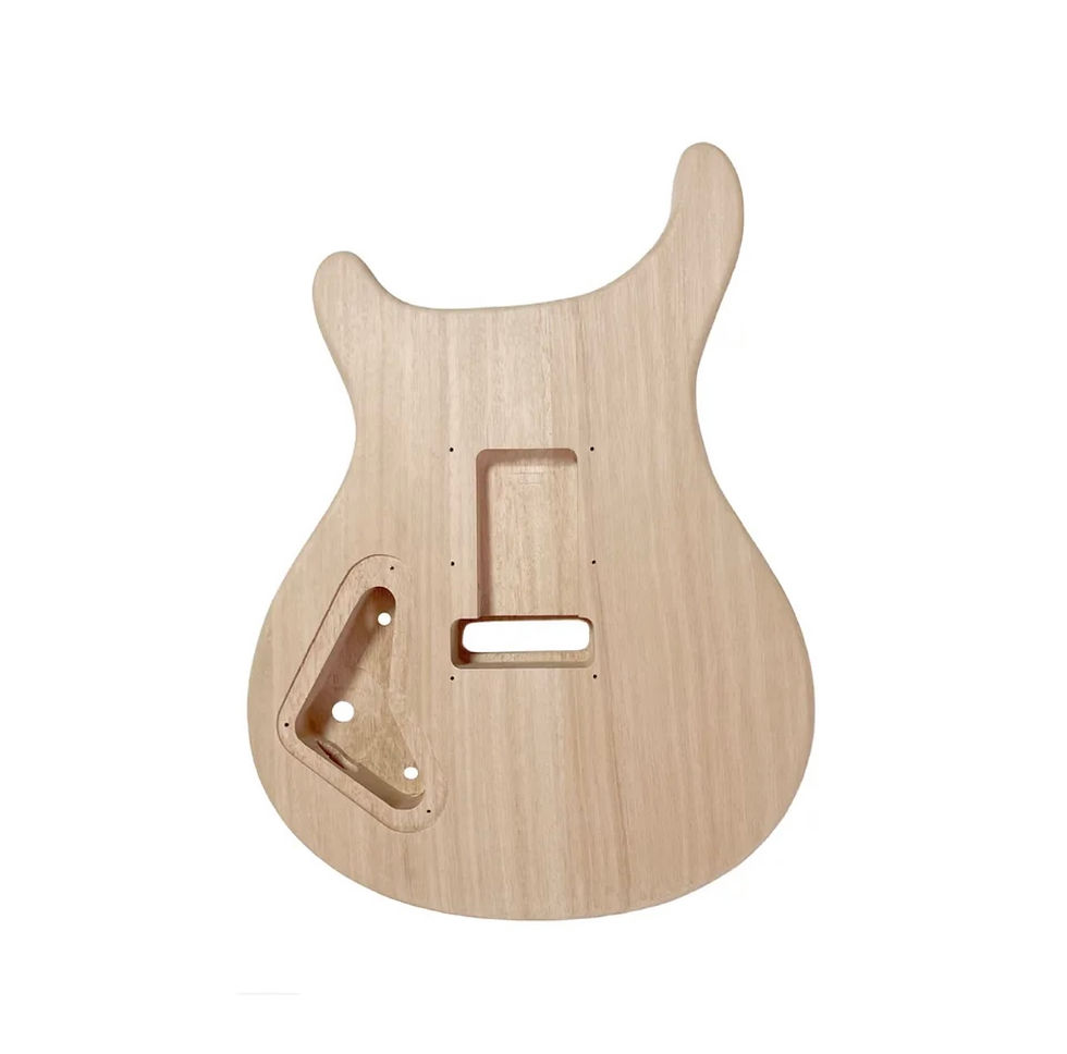 Thumbnail: Custom 24 Style Guitar Build Kit