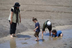 Hapu Haerenga - Parua Bay to Taiharuru November 2023 - 94 of 151