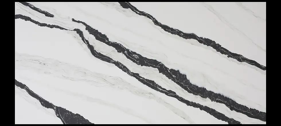 Panda-Black