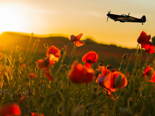 We will remember them.