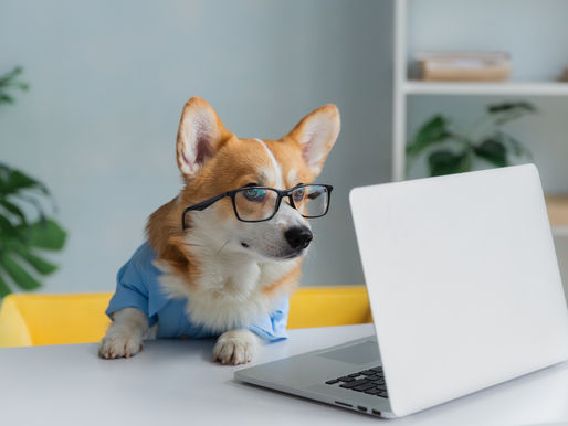 Paws before you purchase