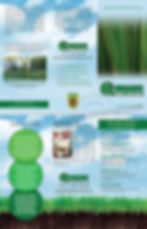lawn care brochure