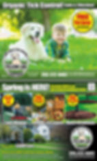 lawn care landscaping EDDM postcard