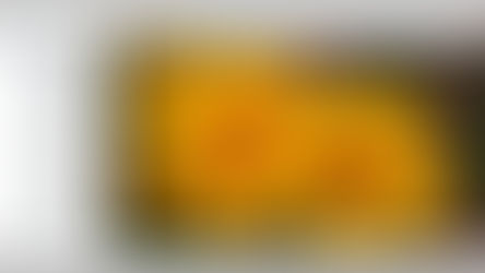 Kujawiak Viewer - visionneuse autonome, simple et rapide