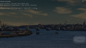 Forcez le nettoyage du presse-papier