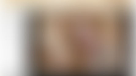 Un navigateur Web de style Renaissance