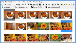 PictureRelate passe au crible vos périphiques et affiche les doublons ou images similaires