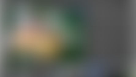 PhotoPad Image Editor pour créer des collages, des panoramas, des mosaïques, corriger les couleurs