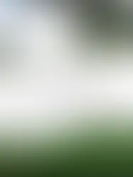 JPEG Saver